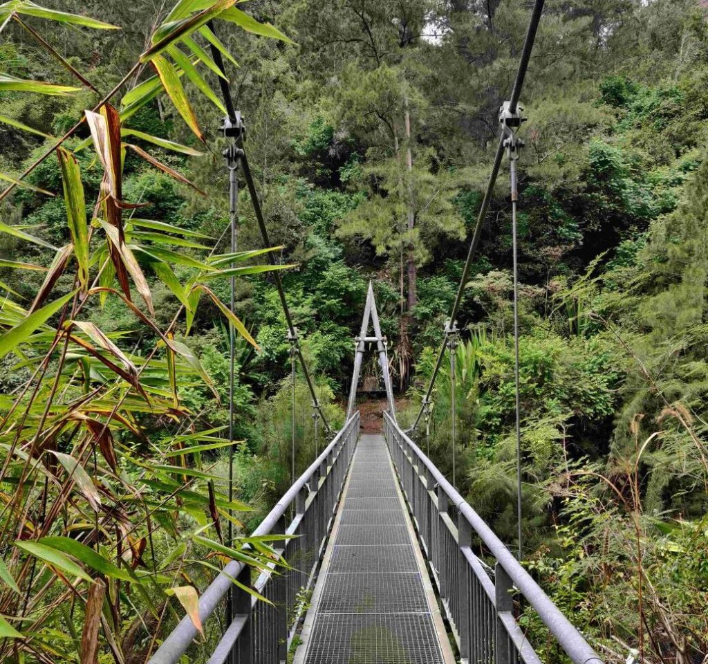 Salazie Passerelle